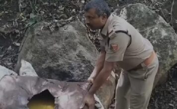 ഇടുക്കിയിൽ എക്സൈസ് നടത്തിയ പരിശോധനയിൽ അതിർത്തി മേഖലയിൽ നിന്നും 200 ലിറ്റർ കോട കണ്ടെടുത്തു
