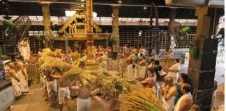 നിറക്കതിരുകളുടെ സമൃദ്ധിയിൽ ഗുരുവായൂർ ക്ഷേത്രത്തിൽ ഇല്ലം നിറ