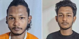 സഹോദരങ്ങളുടെ പേരില് അന്പതോളം കേസുകള് ; ഇത്തവണ അറസ്റ്റിലായത് കവര്ച്ച ആസൂത്രണം ചെയ്യുന്നതിനിടെ