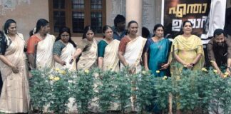 ഓണാഘോഷത്തിന് ജമന്തിപ്പൂക്കളുടെ വിളവെടുപ്പ്