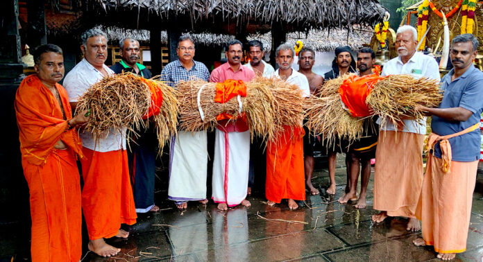 നിറപുത്തരി രഥഘോഷയാത്രയ്ക്ക് ശ്രീ കല്ലേലി ഊരാളി അപ്പൂപ്പൻ കാവിൽ ആചാരപൂർവ്വമായ വരവേൽപ്പ് നൽകി നിറപുത്തരി രഥഘോഷയാത്രയ്ക്ക് ശ്രീ കല്ലേലി ഊരാളി അപ്പൂപ്പൻ കാവിൽ ആചാരപൂർവ്വമായ വരവേൽപ്പ് നൽകി
