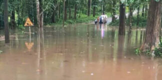 കല്ലേലി – കൊക്കാത്തോട് റോഡില് വെള്ളം കയറി ഗതാഗതം തടസ്സപ്പെട്ടു