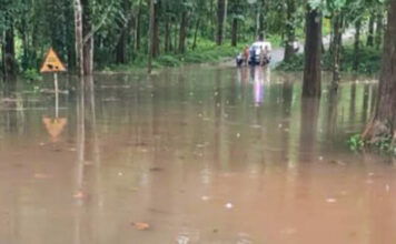 കല്ലേലി – കൊക്കാത്തോട് റോഡില് വെള്ളം കയറി ഗതാഗതം തടസ്സപ്പെട്ടു