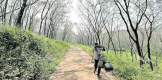 കൊടുമണ് എസ്റ്റേറ്റിലെ തൊഴിലാളികൾക്ക് ഓണത്തിന് ബോണസും അഡ്വാന്സും അനുവദിച്ചു