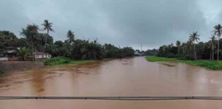 അപ്പർ കുട്ടനാട്ടിൽ മഴക്കെടുതി രൂക്ഷം ; മാന്നാറിന്റെ പടിഞ്ഞാറൻ മേഖല വെള്ളപ്പൊക്ക ഭീഷണിയിൽ
