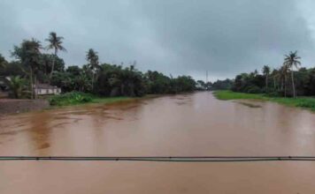അപ്പർ കുട്ടനാട്ടിൽ മഴക്കെടുതി രൂക്ഷം ; മാന്നാറിന്റെ പടിഞ്ഞാറൻ മേഖല വെള്ളപ്പൊക്ക ഭീഷണിയിൽ