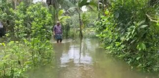 കടലിലേക്ക് ജലം ഒഴുകിപ്പോകുന്നില്ല ; കുട്ടനാട്ടിൽ ജലനിരപ്പ് ഉയർന്നു തന്നെ നിൽക്കുന്നു