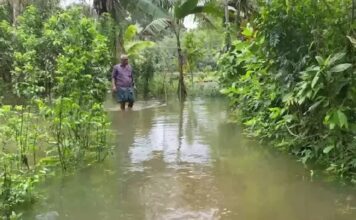 കടലിലേക്ക് ജലം ഒഴുകിപ്പോകുന്നില്ല ; കുട്ടനാട്ടിൽ ജലനിരപ്പ് ഉയർന്നു തന്നെ നിൽക്കുന്നു