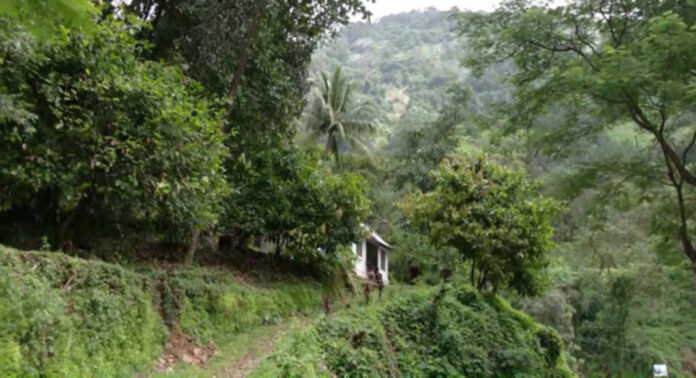 ശക്തമായ മഴ : ജില്ലയിലെ മലയോര മേഖലകളില് അതീവ ജാഗ്രത നിര്ദേശം ശക്തമായ മഴ : ജില്ലയിലെ മലയോര മേഖലകളില് അതീവ ജാഗ്രത നിര്ദേശം