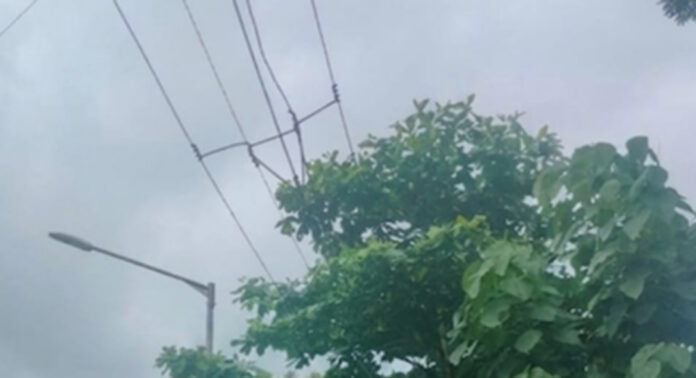 മന്ദിരംപടി ജംഗ്ഷനിൽ വൈദ്യുതി ലൈനില് തട്ടി മരച്ചില്ലകള് : അപകട ഭീതിയിൽ യാത്രക്കാർ മന്ദിരംപടി ജംഗ്ഷനിൽ വൈദ്യുതി ലൈനില് തട്ടി മരച്ചില്ലകള് : അപകട ഭീതിയിൽ യാത്രക്കാർ