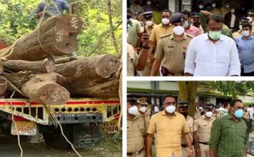 മുട്ടിൽ മരംമുറി : അഗസ്റ്റിൻ സഹോദരന്മാർ ഇന്ന് ചോറ്റാനിക്കര മജിസ്ട്രേറ്റ് കോടതിയിൽ ഹാജരാവും