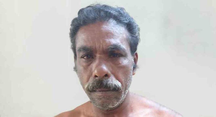 വയോധികയെ പീഡിപ്പിക്കാൻ ശ്രമം ; 59കാരൻ അറസ്റ്റിൽ വയോധികയെ പീഡിപ്പിക്കാൻ ശ്രമം ; 59കാരൻ അറസ്റ്റിൽ