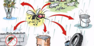 ആരോഗ്യത്തോടെ ഓണം : പകര്ച്ചവ്യാധി പ്രതിരോധ പ്രവര്ത്തനം ഊര്ജിതമാക്കും