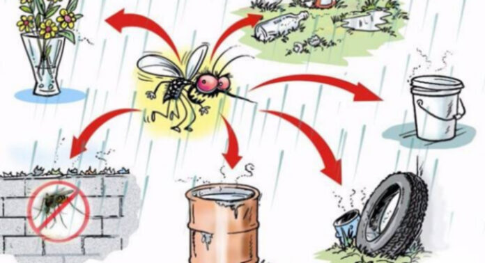 ആരോഗ്യത്തോടെ ഓണം : പകര്ച്ചവ്യാധി പ്രതിരോധ പ്രവര്ത്തനം ഊര്ജിതമാക്കും ആരോഗ്യത്തോടെ ഓണം : പകര്ച്ചവ്യാധി പ്രതിരോധ പ്രവര്ത്തനം ഊര്ജിതമാക്കും