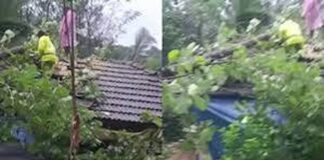 പാലക്കാട് ജില്ലയിൽ മൂന്ന് ദിവസമായി തുടരുന്ന മഴയിൽ കനത്ത നാശനഷ്ടങ്ങൾ