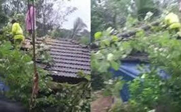 പാലക്കാട് ജില്ലയിൽ മൂന്ന് ദിവസമായി തുടരുന്ന മഴയിൽ കനത്ത നാശനഷ്ടങ്ങൾ