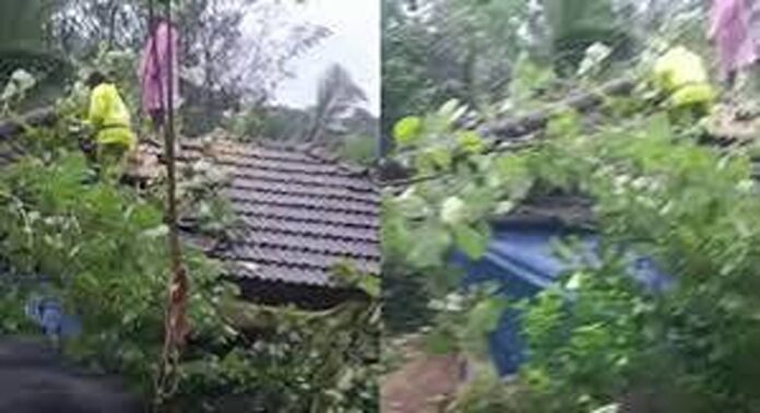 പാലക്കാട് ജില്ലയിൽ മൂന്ന് ദിവസമായി തുടരുന്ന മഴയിൽ കനത്ത നാശനഷ്ടങ്ങൾ പാലക്കാട് ജില്ലയിൽ മൂന്ന് ദിവസമായി തുടരുന്ന മഴയിൽ കനത്ത നാശനഷ്ടങ്ങൾ
