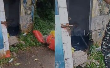 മരനെല്ലൂരിൽ പഞ്ചായത്തിന്റെ മോട്ടോർഷെഡിൽ മൂർഖൻ പാമ്പ്