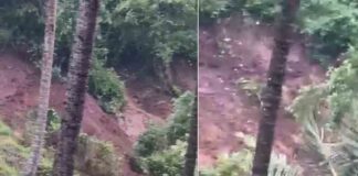 പരപ്പനങ്ങാടി – നാടുകാണി സംസ്ഥാനപാതയിൽ പാണക്കാട് വൻ മണ്ണിടിച്ചിൽ