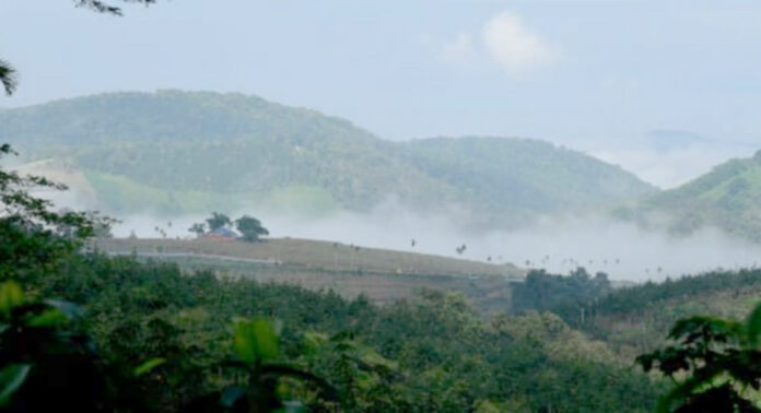 പരിസ്ഥിതിലോല മേഖല വിജ്ഞാപനത്തില് പത്തനംതിട്ട ജില്ലയില് 7 വില്ലേജുകള് : ജനം ആശങ്കയില് പരിസ്ഥിതിലോല മേഖല വിജ്ഞാപനത്തില് പത്തനംതിട്ട ജില്ലയില് 7 വില്ലേജുകള് : ജനം ആശങ്കയില്
