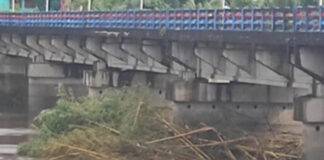 പേരൂർച്ചാൽ പാലത്തിന്റെ തൂണുകളിൽ അടിഞ്ഞുകൂടിയ മരച്ചില്ലകൾ നീക്കം ചെയ്തു : വള്ളംകളിക്കുള്ള ഭീഷണി ഒഴിവായി
