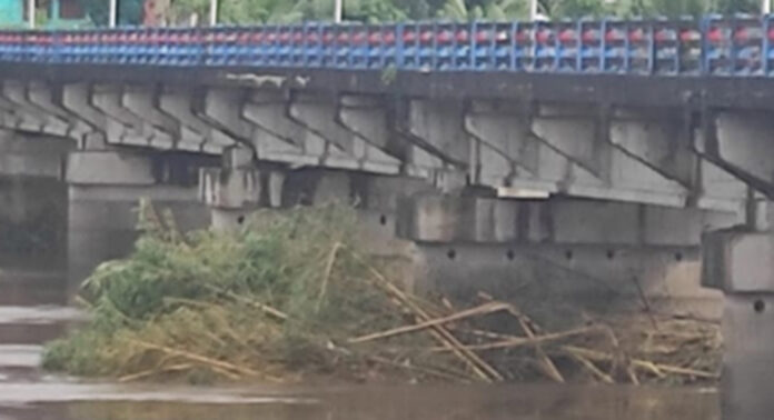 പേരൂർച്ചാൽ പാലത്തിന്റെ തൂണുകളിൽ അടിഞ്ഞുകൂടിയ മരച്ചില്ലകൾ നീക്കം ചെയ്തു : വള്ളംകളിക്കുള്ള ഭീഷണി ഒഴിവായി പേരൂർച്ചാൽ പാലത്തിന്റെ തൂണുകളിൽ അടിഞ്ഞുകൂടിയ മരച്ചില്ലകൾ നീക്കം ചെയ്തു : വള്ളംകളിക്കുള്ള ഭീഷണി ഒഴിവായി