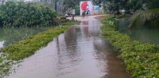 പ്രധാന റോഡുകളിൽ വെള്ളമിറങ്ങി ; താഴ്ന്ന പ്രദേശങ്ങളിൽ വെള്ളക്കെട്ട് തുടരുന്നു , ദുരിതമൊഴിയാതെ റാന്നി
