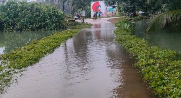പ്രധാന റോഡുകളിൽ വെള്ളമിറങ്ങി ; താഴ്ന്ന പ്രദേശങ്ങളിൽ വെള്ളക്കെട്ട് തുടരുന്നു , ദുരിതമൊഴിയാതെ റാന്നി പ്രധാന റോഡുകളിൽ വെള്ളമിറങ്ങി ; താഴ്ന്ന പ്രദേശങ്ങളിൽ വെള്ളക്കെട്ട് തുടരുന്നു , ദുരിതമൊഴിയാതെ റാന്നി