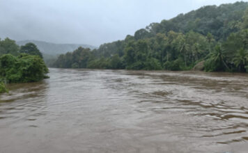 പമ്പയും കക്കാട്ടാറും കരകവിഞ്ഞു : റാന്നി പ്രളയഭീതിയിൽ