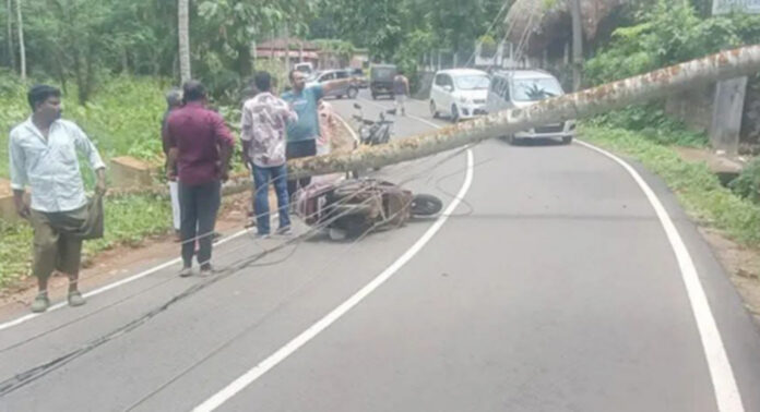 റാന്നി വലിയകാവ് റോഡില് തെങ്ങ് റോഡിലേക്ക് വീണ് സ്കൂട്ടര് യാത്രികന് പരിക്ക് റാന്നി വലിയകാവ് റോഡില് തെങ്ങ് റോഡിലേക്ക് വീണ് സ്കൂട്ടര് യാത്രികന് പരിക്ക്