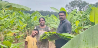 വാഴയിലയിലൂടെ വരുമാനം കണ്ടെത്തി ഇളമണ്ണൂര് സ്വദേശി സുരേഷും കുടുംബവും
