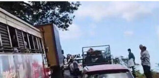 കെഎസ്ആർടിസി ബസിന് യന്ത്രത്തകരാർ : താമരശ്ശേരി ചുരത്തിൽ വൻ ഗതാഗതക്കുരുക്ക്