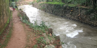 മണിമലയാറിന്റെ കൈവഴിയായ പനയമ്പാല തോടിന് സംരക്ഷണ ഭിത്തി നിര്മ്മിക്കണം