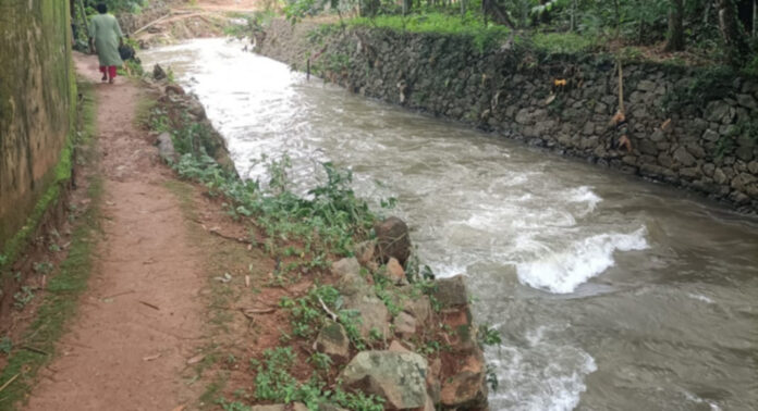 മണിമലയാറിന്റെ കൈവഴിയായ പനയമ്പാല തോടിന് സംരക്ഷണ ഭിത്തി നിര്മ്മിക്കണം മണിമലയാറിന്റെ കൈവഴിയായ പനയമ്പാല തോടിന് സംരക്ഷണ ഭിത്തി നിര്മ്മിക്കണം