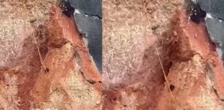 വടകര ദേശീയപാതയിൽ മീത്തലെ മുക്കാളിയിൽ വീണ്ടും മണ്ണിടിച്ചിൽ