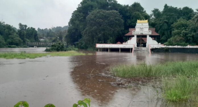 പ്രളയഭീതിയില് പത്തനംതിട്ട ജില്ല : എല്ലാ നദികളും കരകവിഞ്ഞു, ആറന്മുളയിലും റാന്നിയിലും വെള്ളം കയറി പ്രളയഭീതിയില് പത്തനംതിട്ട ജില്ല : എല്ലാ നദികളും കരകവിഞ്ഞു, ആറന്മുളയിലും റാന്നിയിലും വെള്ളം കയറി