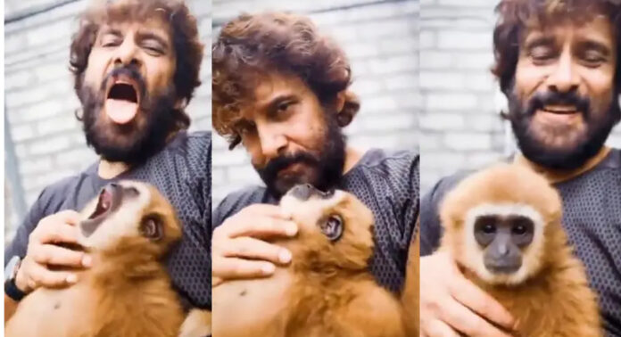 വംശനാശ ഭീഷണി നേരിടുന്ന കുരങ്ങുമൊത്ത് നടൻ വിക്രമിന്റെ റീൽ ; അന്വേഷണം, വീഡിയോ ഡിലീറ്റ് ചെയ്ത് താരം വംശനാശ ഭീഷണി നേരിടുന്ന കുരങ്ങുമൊത്ത് നടൻ വിക്രമിന്റെ റീൽ ; അന്വേഷണം, വീഡിയോ ഡിലീറ്റ് ചെയ്ത് താരം