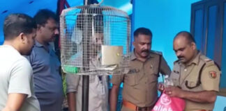 പമ്പാവാലിയില് എക്സൈസ് നടത്തിയ പരിശോധനയില് കോടയും വാറ്റുപകരണങ്ങളും പിടികൂടി