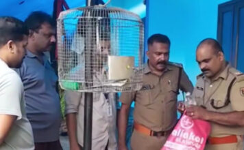 പമ്പാവാലിയില് എക്സൈസ് നടത്തിയ പരിശോധനയില് കോടയും വാറ്റുപകരണങ്ങളും പിടികൂടി