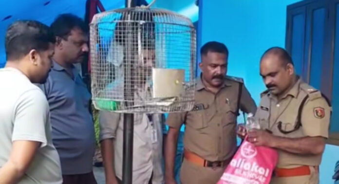 പമ്പാവാലിയില് എക്സൈസ് നടത്തിയ പരിശോധനയില് കോടയും വാറ്റുപകരണങ്ങളും പിടികൂടി പമ്പാവാലിയില് എക്സൈസ് നടത്തിയ പരിശോധനയില് കോടയും വാറ്റുപകരണങ്ങളും പിടികൂടി
