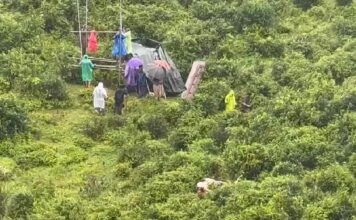 ഗ്രാമ്പിയിൽ ഭീതി വിതയ്ക്കുന്ന കടുവയെ മയക്കുവെടി വെച്ച് പിടികൂടാൻ വനംവകുപ്പ്