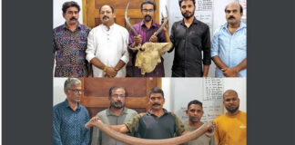തിരുവനന്തപുരത്ത് മാൻകൊമ്പും ഇരുതലമൂരിയുമായി ഒൻപതുപേർ പിടിയിൽ ; കുറുക്കന്റെ രോമവുമായി മറ്റൊരു സംഘവും അറസ്റ്റിൽ