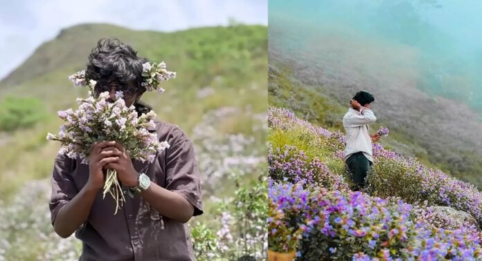 നീലക്കുറിഞ്ഞി പറിച്ച് ഫോട്ടോയെടുത്ത് ഇൻസ്റ്റഗ്രാമിൽ പങ്കുവെച്ച രണ്ട് യുവാക്കൾക്കെതിരെ വനംവകുപ്പ് കേസെടുത്തു നീലക്കുറിഞ്ഞി പറിച്ച് ഫോട്ടോയെടുത്ത് ഇൻസ്റ്റഗ്രാമിൽ പങ്കുവെച്ച രണ്ട് യുവാക്കൾക്കെതിരെ വനംവകുപ്പ് കേസെടുത്തു