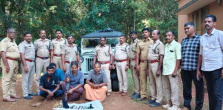 ആവോലിക്കുഴിയില് മ്ലാവിനെ വേട്ടയാടിയ സംഘത്തെ വനപാലകര് പിടികൂടി