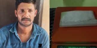 ജാമ്യത്തിലിറങ്ങി 12-ാം ദിവസം എംഡിഎംഎയുമായി യുവാവ് പിടിയിൽ
