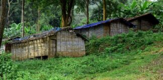 അട്ടപ്പാടി ഭൂമിതട്ടിപ്പ് : കോൺഗ്രസിന് തിരിച്ചടിയായി ആദിവാസി കുടുംബങ്ങളുടെ കൂട്ടരാജി