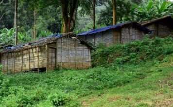 അട്ടപ്പാടി ഭൂമിതട്ടിപ്പ് : കോൺഗ്രസിന് തിരിച്ചടിയായി ആദിവാസി കുടുംബങ്ങളുടെ കൂട്ടരാജി