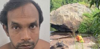 അട്ടപ്പാടി ഇരട്ടക്കൊലപാതകം ; പ്രതിയെ പിടികൂടി പോലീസ്