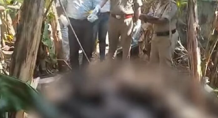 കിളികൊല്ലൂരില് പൂജയ്ക്ക് ശേഷം സ്വയം ചിതയൊരുക്കി ജീവനൊടുക്കി കിളികൊല്ലൂരില് പൂജയ്ക്ക് ശേഷം സ്വയം ചിതയൊരുക്കി ജീവനൊടുക്കി