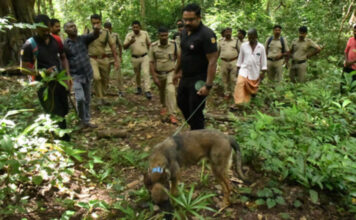 എട്ട് ദിവസം നടത്തിയ തെരച്ചിലിലും തെളിവുകള് ലഭിച്ചില്ല : കുട്ടിയമ്മയുടെ തിരോധാനത്തില് ദുരൂഹത ആരോപിച്ച് ബന്ധുക്കള്